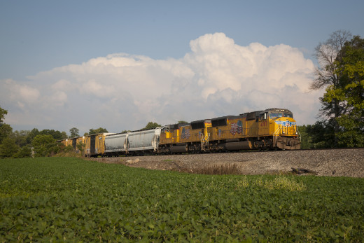 942204 (a): :2048x1365